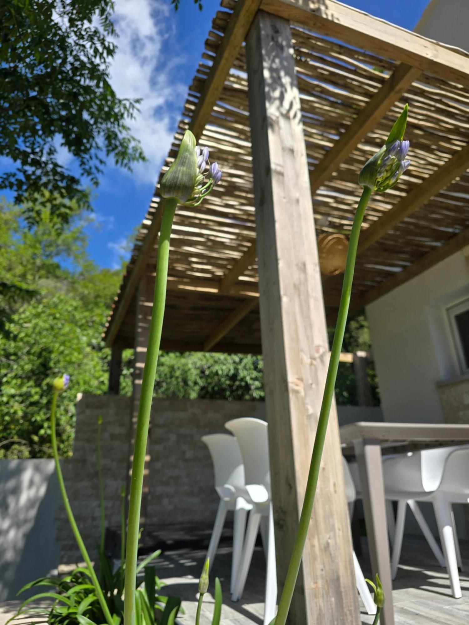 Petite Maison - Porto-Vecchio Exterior photo